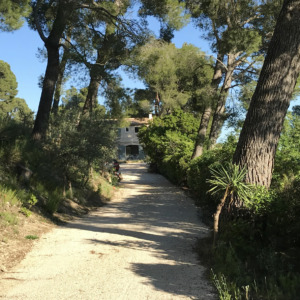 l'allée sous le soleil